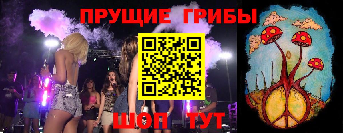 Галлюциногенные грибы Cubensis Каспийск