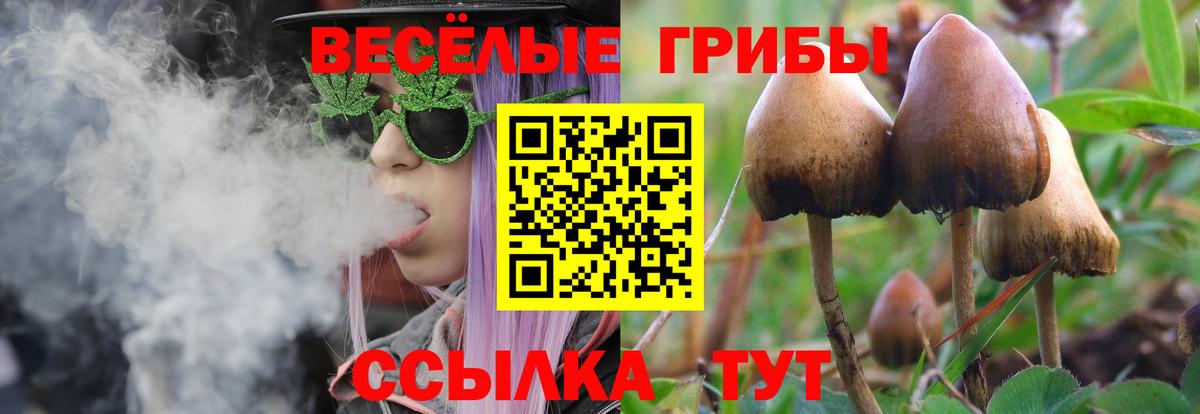 Галлюциногенные грибы мицелий  магазин продажи наркотиков  Каспийск  Вход с VPN 
